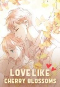 Love Like Cherry Blossoms