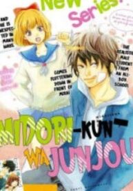 Midori-Kun Wa Junjou