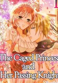 The Caged Princess And Her Passing Knight